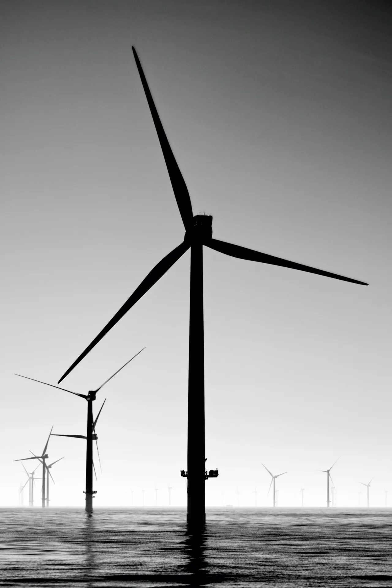 Éoliennes au sein d’un paysage dédié à la production d’énergie