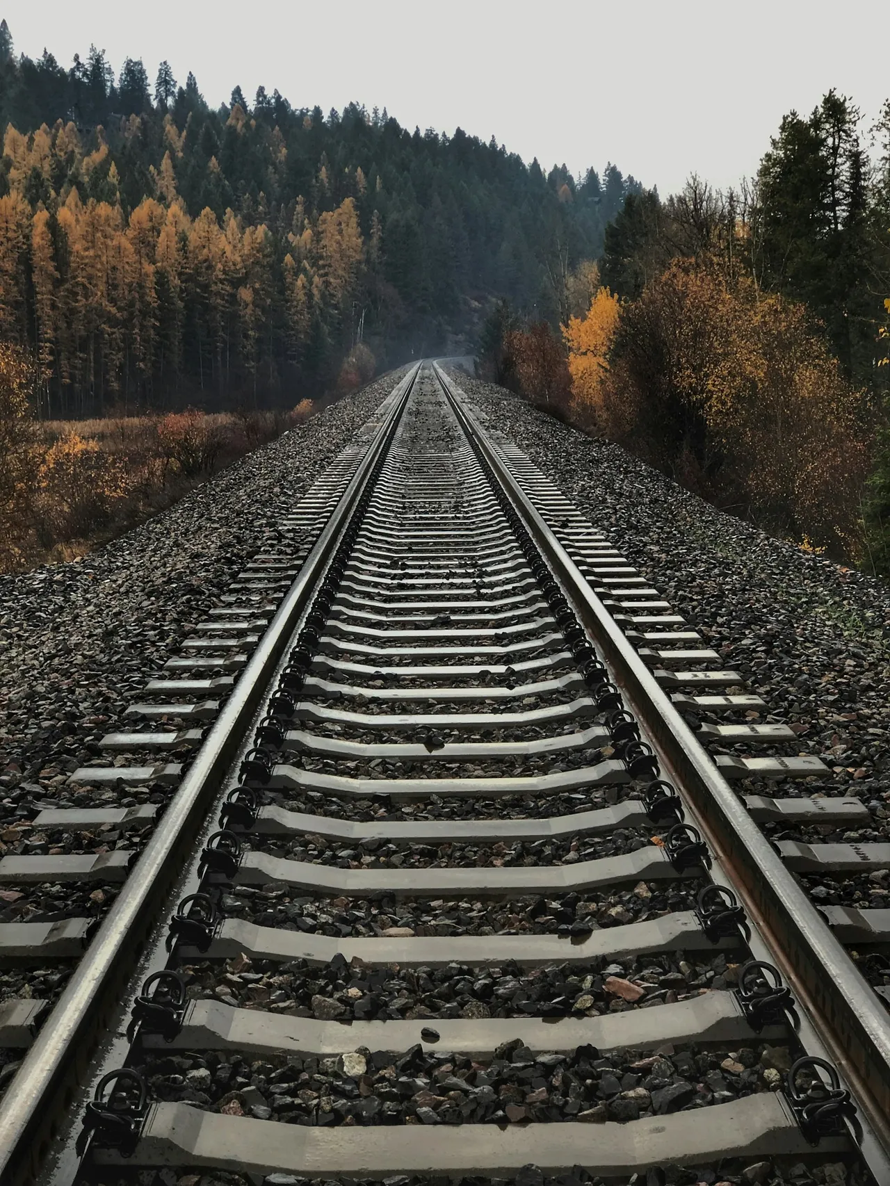 Infrastructure ferroviaire et voies de chemin de fer